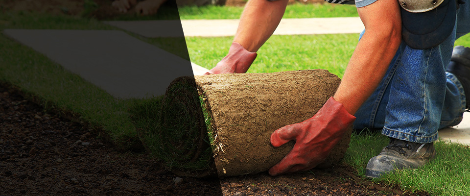 Saint Anne Landscapers